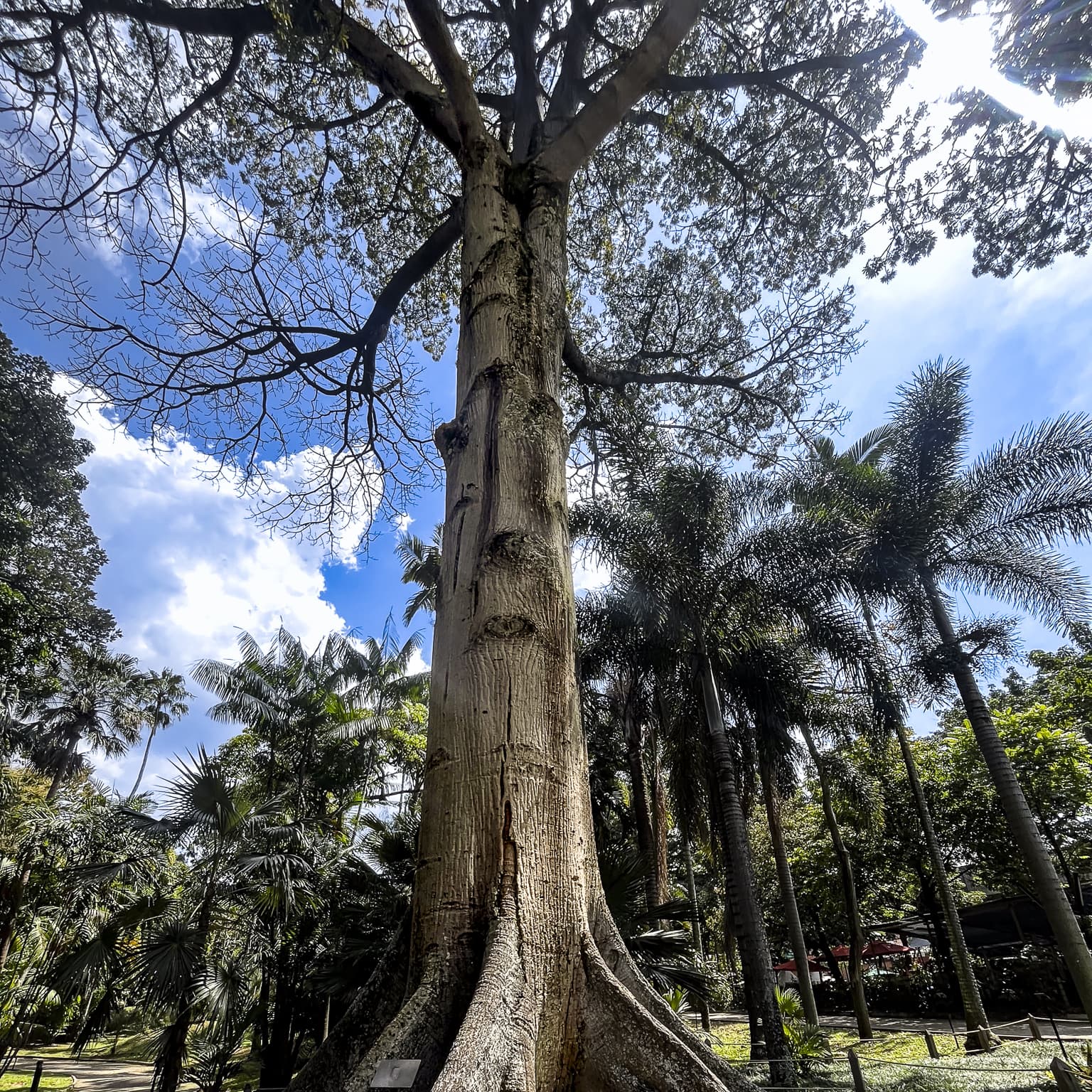 Medellín